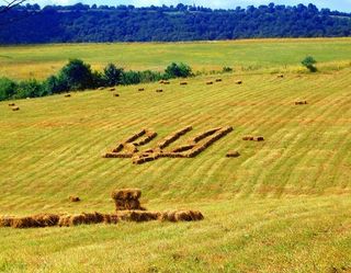 Аграрії українського Донбасу просять державу покращити логістику